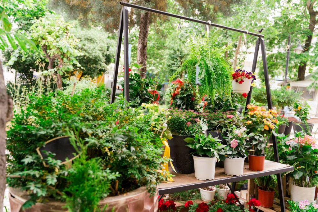 paradise-flowers store