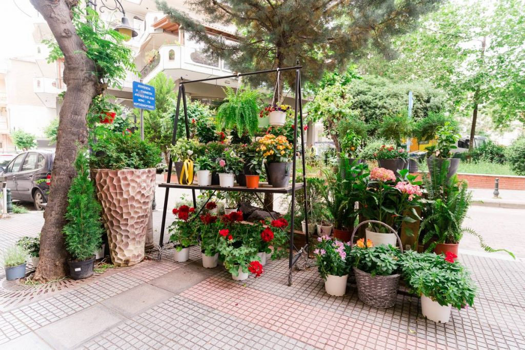 paradise-flowers store