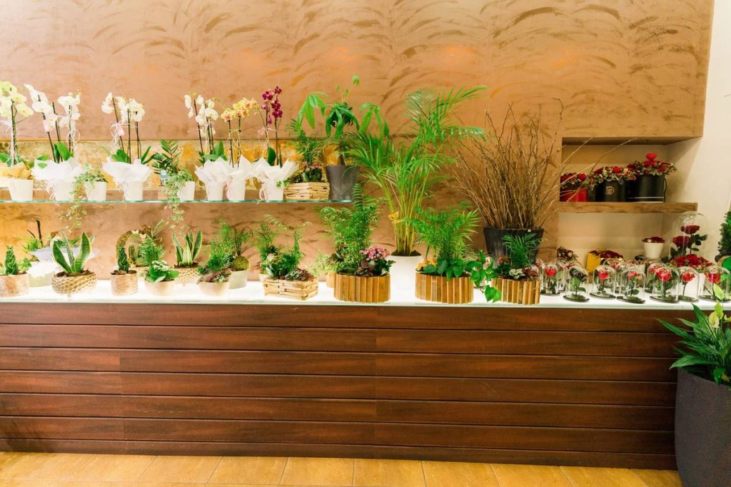 paradise-flowers store