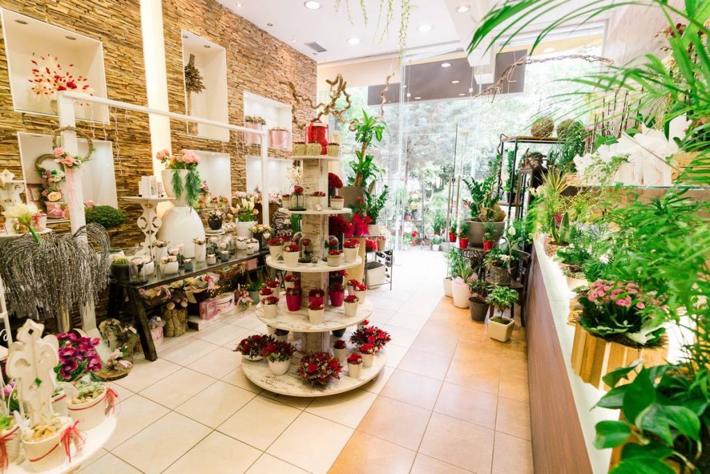 paradise-flowers store