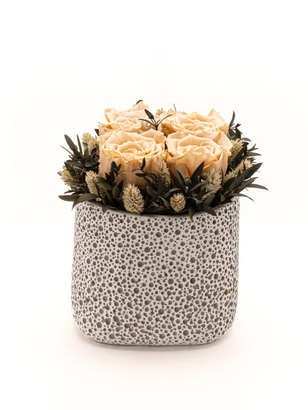 Quartet – Ivory Eternity Roses σε κεραμικό