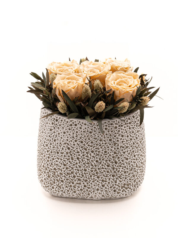 Quintet - Ivory Eternity Roses σε κεραμικό