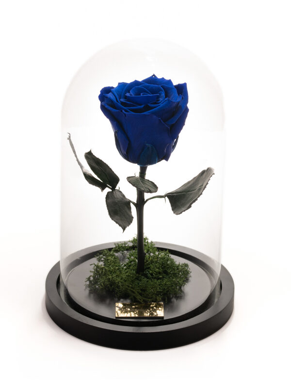 My Precious Blue - Μπλε τριαντάφυλλο eternity σε γυάλα