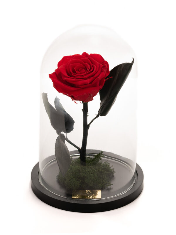 My Precious Red - Κόκκινο τριαντάφυλλο eternity σε γυάλα