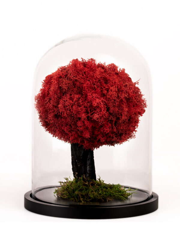 Tree of Life Red - Δέντρο eternity σε γυάλα κόκκινο